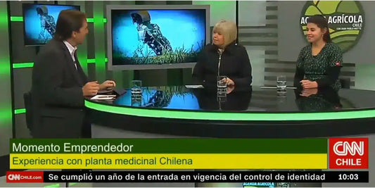 Fundadora de AllGreen en Agenda AgrÃcola de CNN Chile
