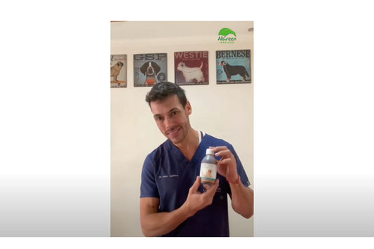 Doctor De La Horra @doctordelahorra nos comparte sus conocimientos sobre el Jarabe de Matico de AllGreen 🌱