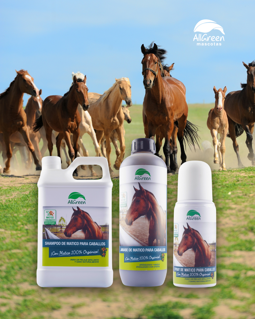 Pack: Shampoo De Matico 1L + Jarabe 1L + Spray 150 ML