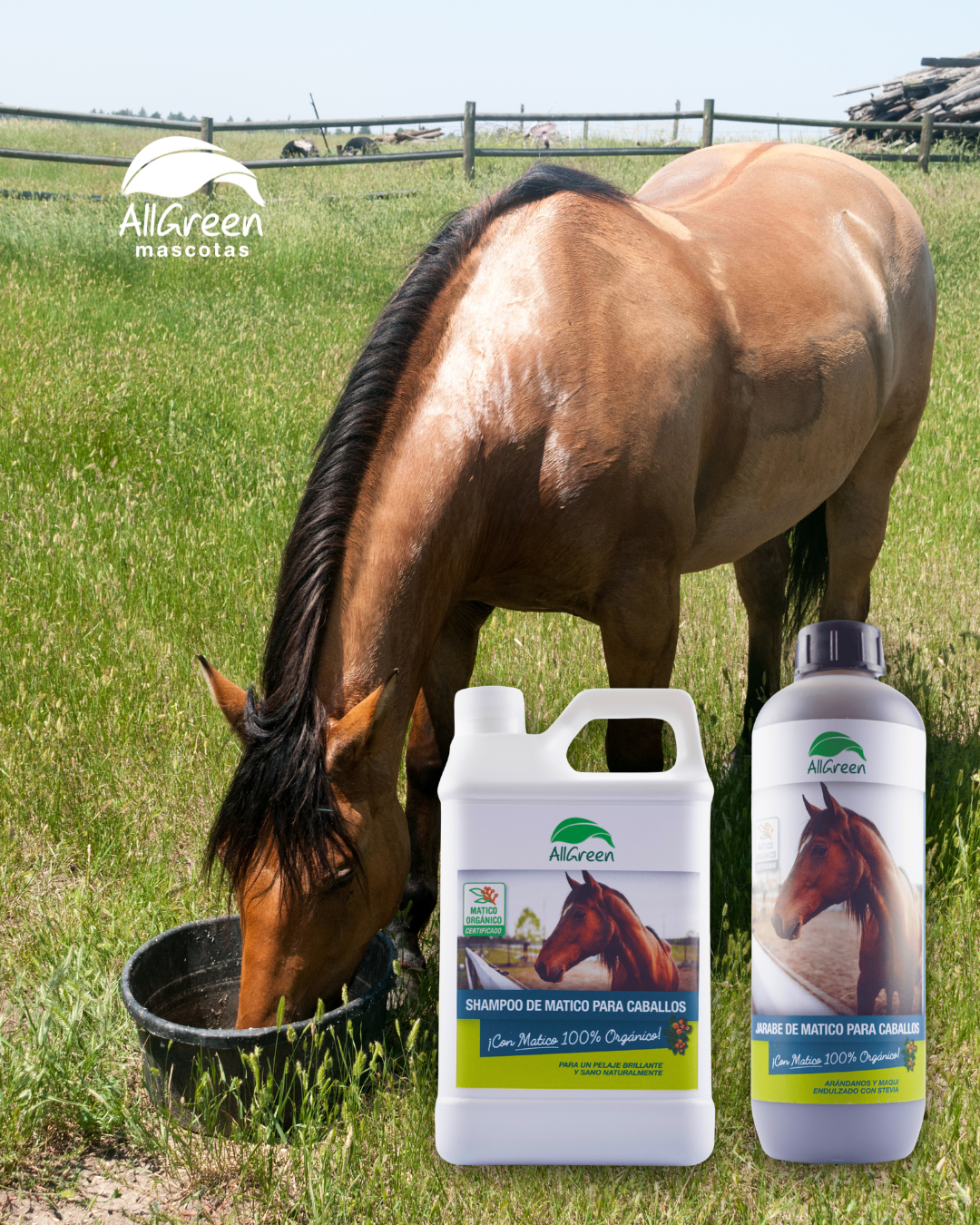 Pack: Shampoo 1 Lt + Jarabe 1 Lt