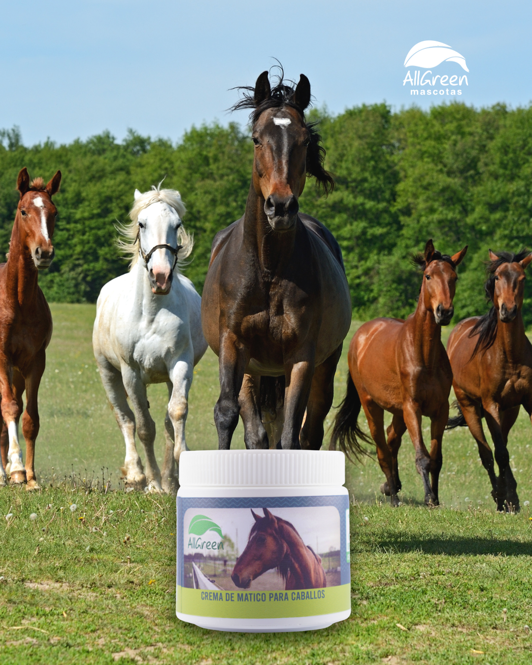 Crema de Matico para Caballos 400 ml