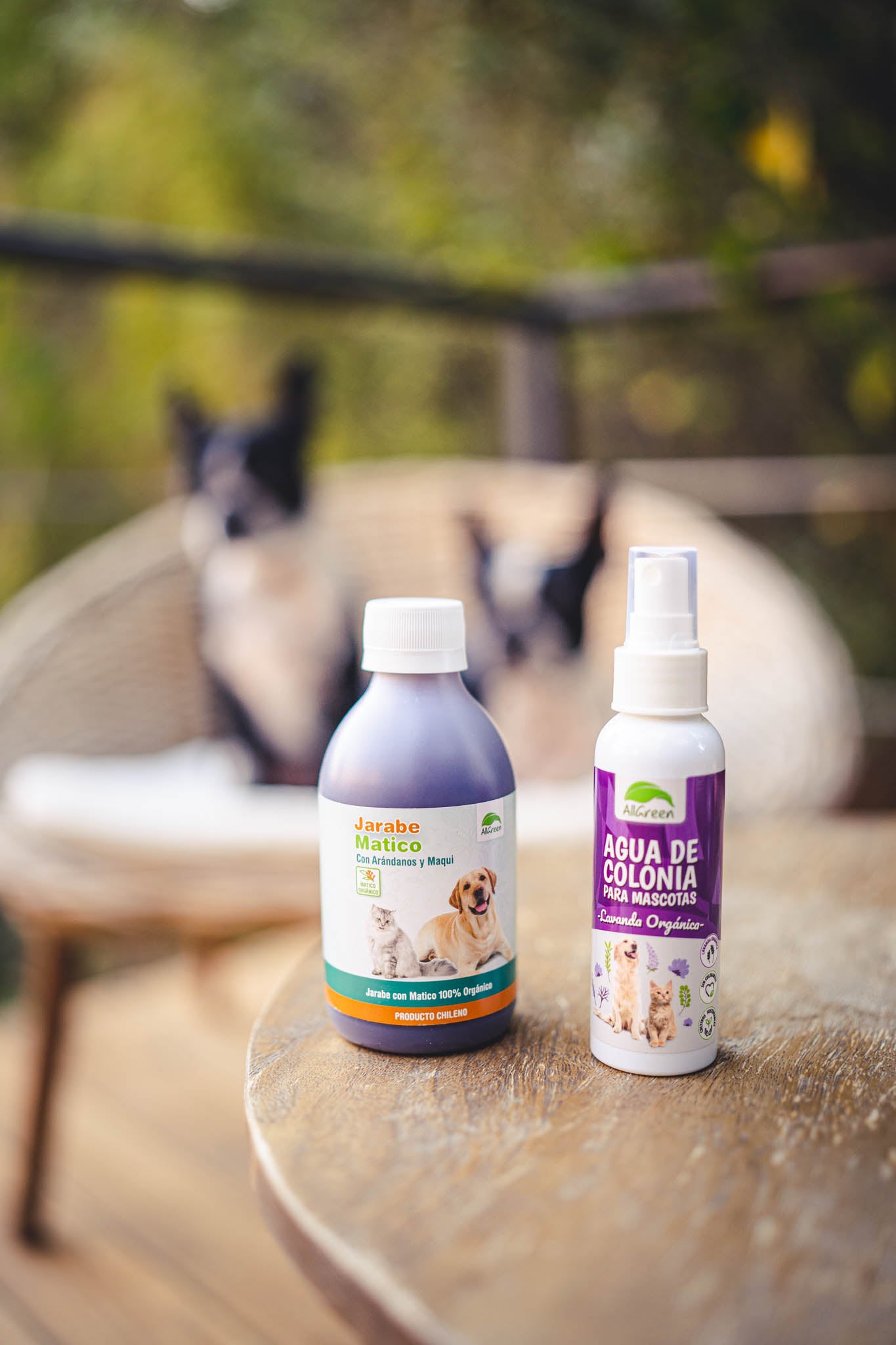 Pack: Jarabe de matico 250 ml + Crema de matico 60 ml