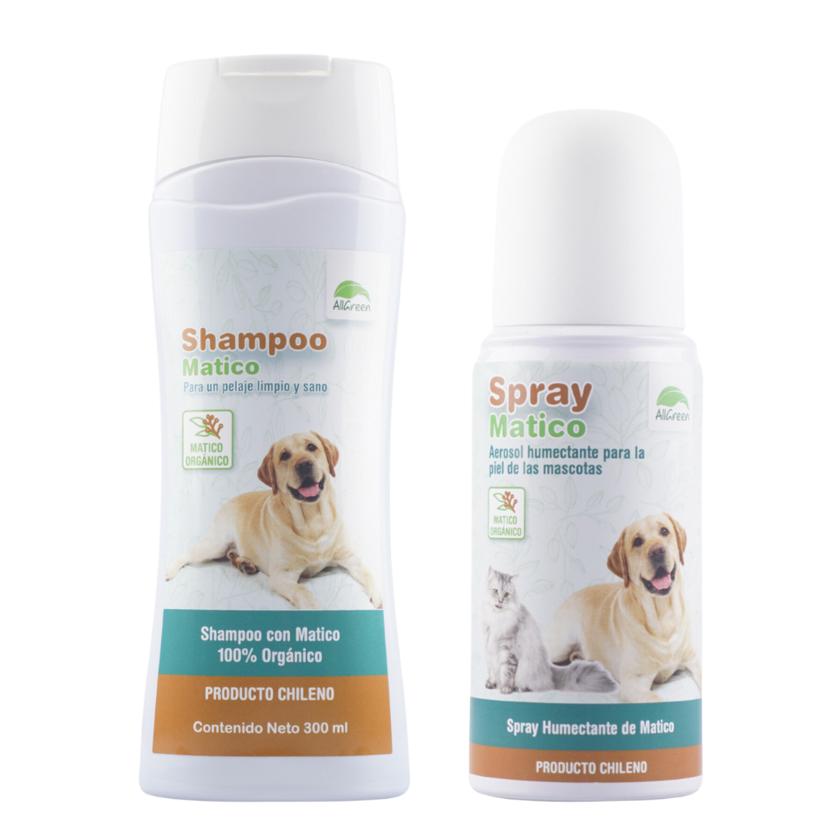 Pack: Shampoo de matico 300 ml + Spray de matico 150 ML