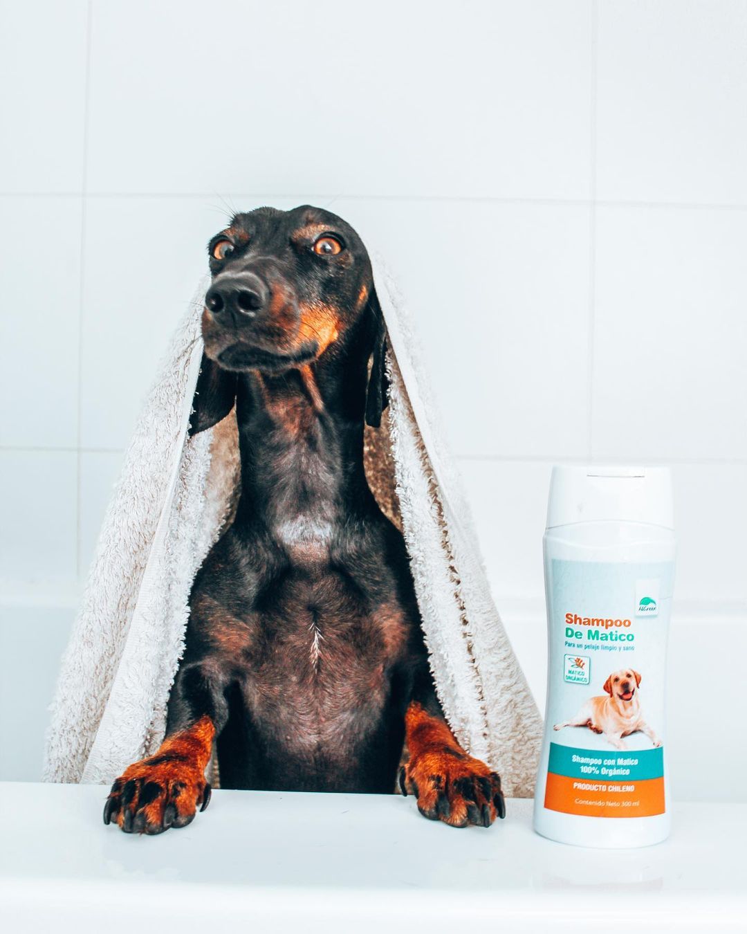 Pack: Shampoo de matico 300 ml + Jarabe de matico 250 ml