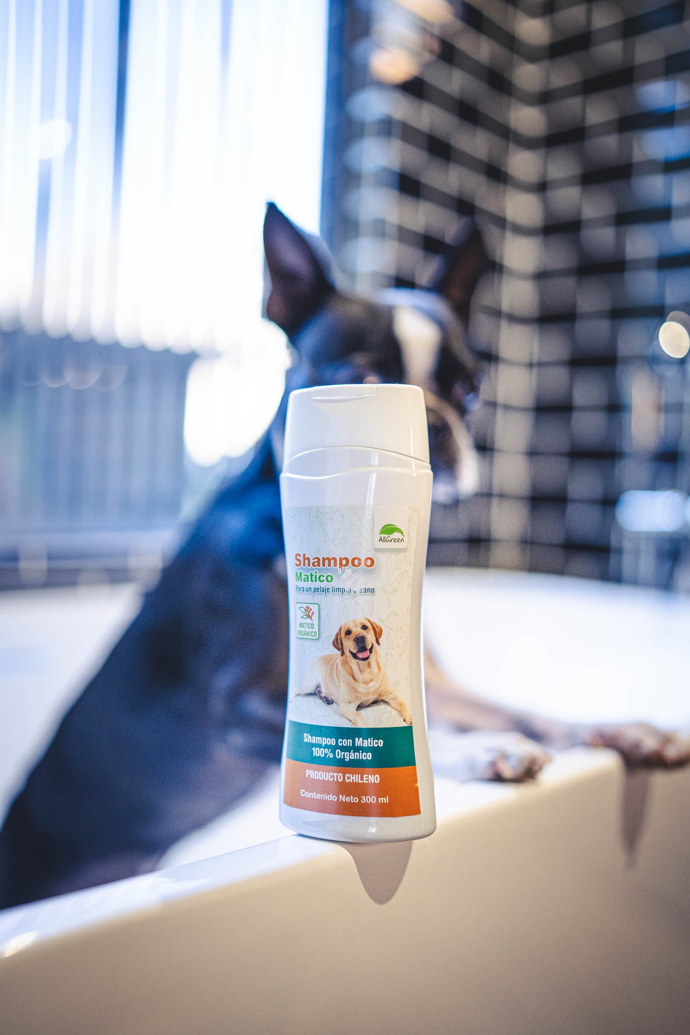 Pack: Shampoo Matico 1 Litro + Jarabe de Matico 250 ML