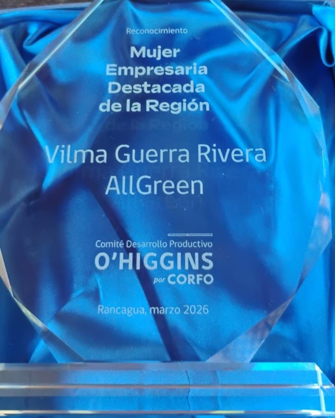 💚🐾 Orgullo AllGreen: Reconocimiento a nuestra fundadora