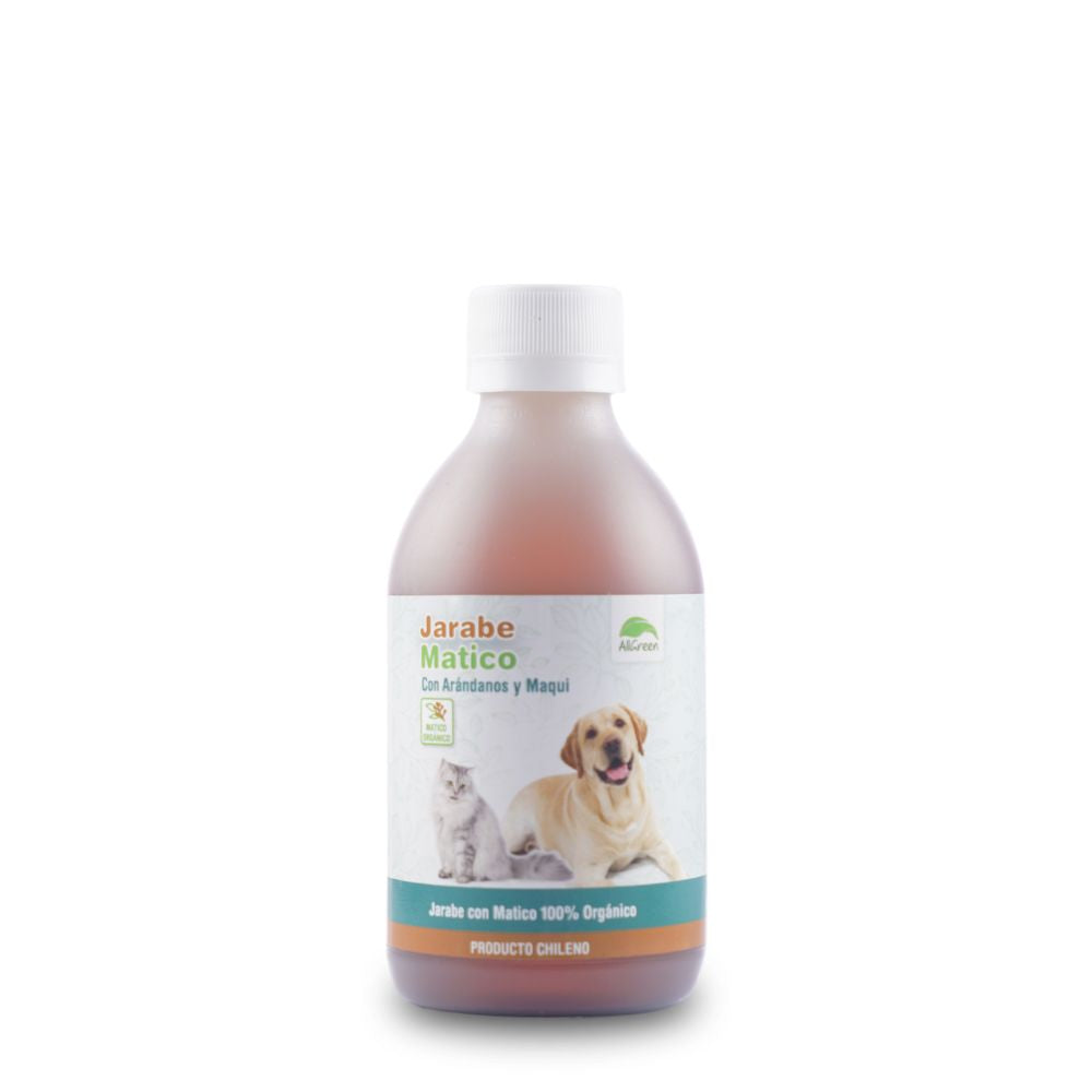 Jarabe Gastroprotector de Matico con Arándanos y Maqui 250 ml