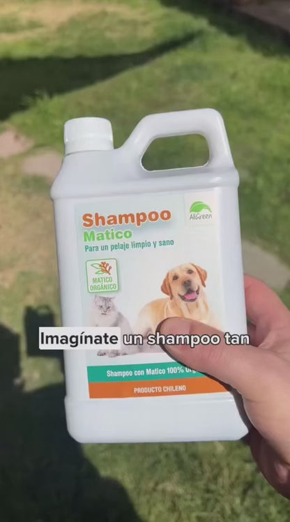 Shampoo de Matico orgánico 1 litro